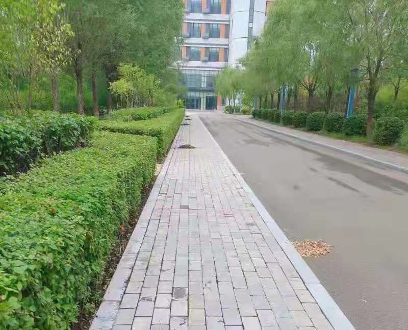 &#29615;&#29699;&#40;&#20013;&#22269;&#41;&#20307;&#32946;&#23448;&#26041;&#32593;&#31449;